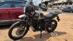 Himalayan 411 mint condition with warranty