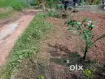 7 സെൻ്റ് സ്ഥലം പൊങ്ങന്താനത്ത്  9 ലക്ഷം രൂപയ്ക്ക്