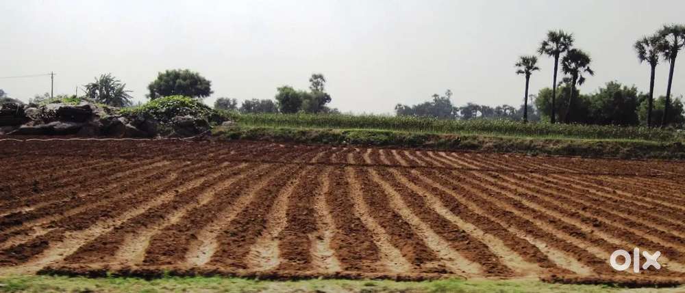 10 acre farm house land on sale