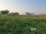 Best Plot near Dura for House Construction or Investment
