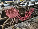 Ladies Bicycle