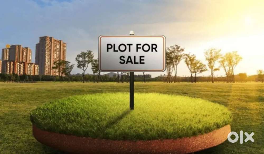 New colony Plot