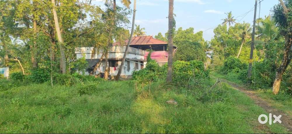 90 Cents Premium Residential/Commercial Plot for Sale – Kumbalam, Koch