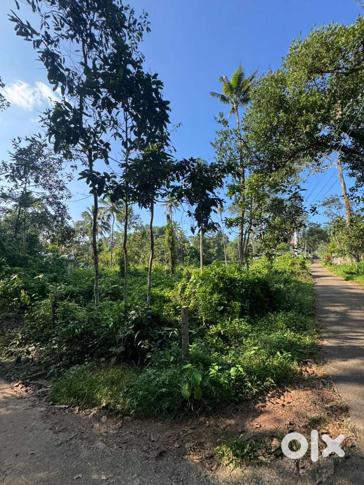 60 cent land for sale in thamarakkulam 200m near to chathiyara school