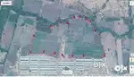patharia (damoh) commercial land 12 acre