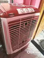 1year cooler