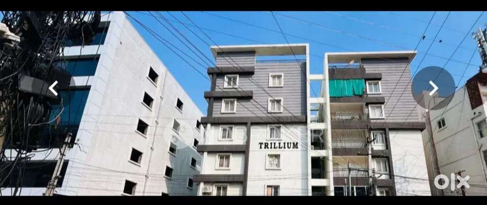 Trillium Apartment