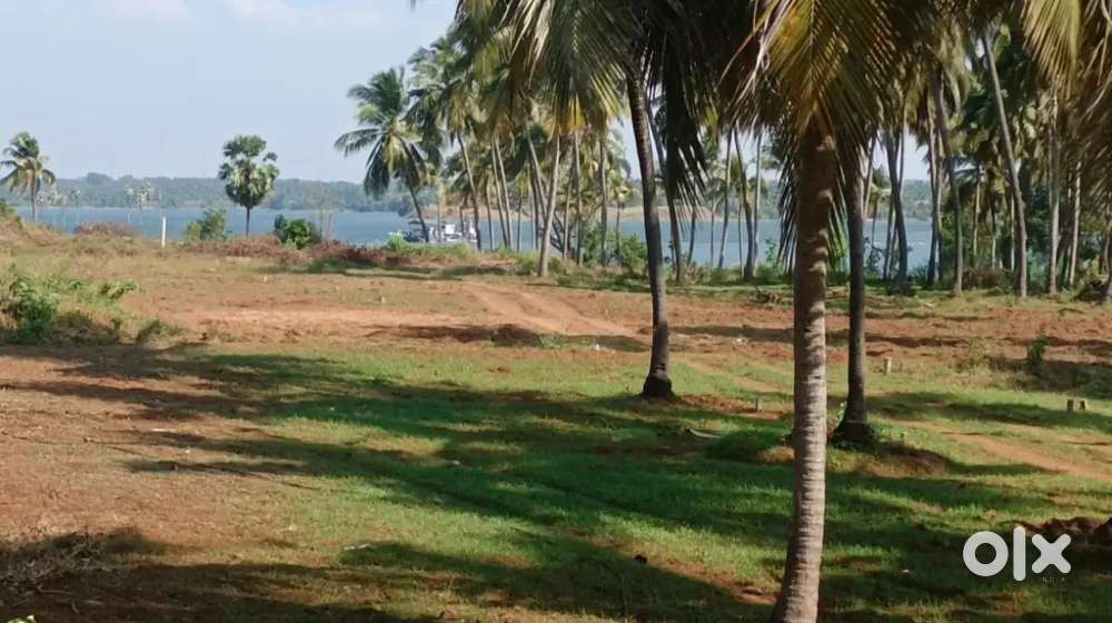 KOLLENGODE -DAM View Garden House Plots / Premium Land for Farm house