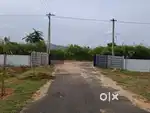 NEAR BANGALORE MADANAPALLI Y JUNCTION THONDAVADA