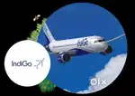 Domestic/International Airport Ground staff Jobs In Indigo Airlines.