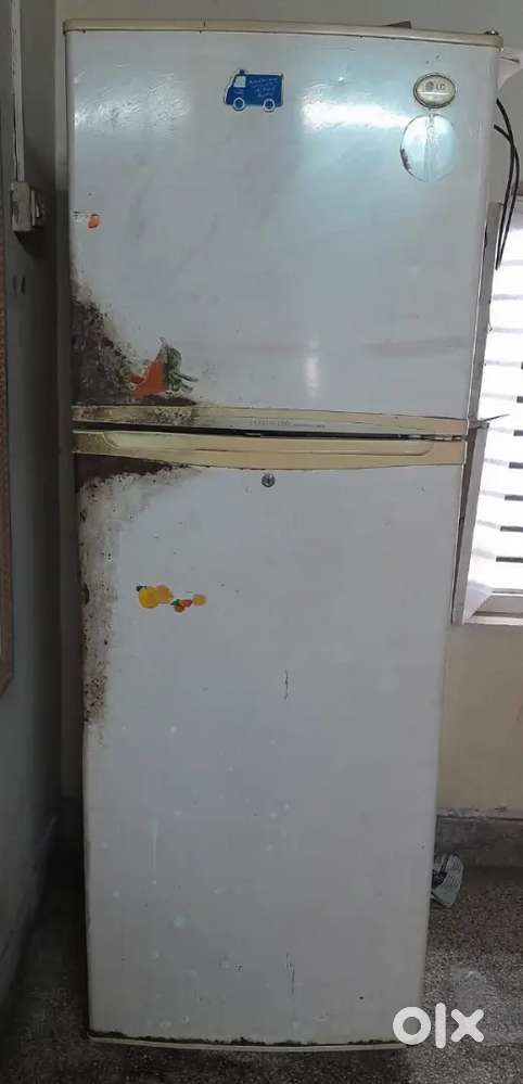 Fridge and refrigerator