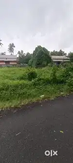 10 Cent Plot Roadside