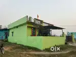Negi house
