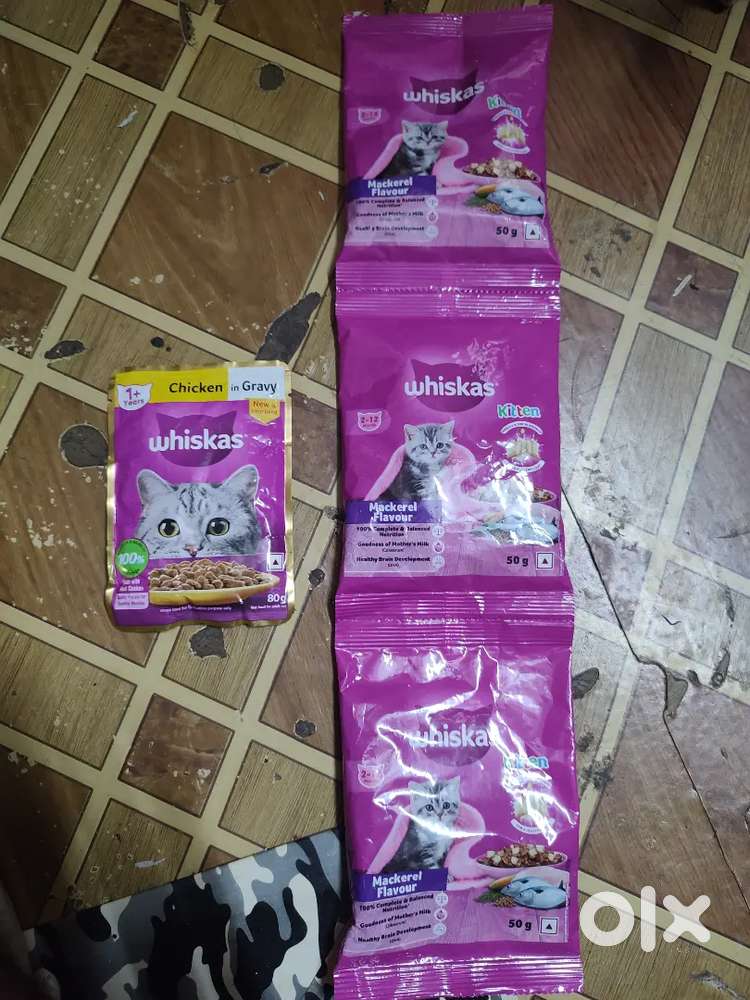 Dry and Wet Cat Food