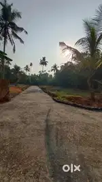House Plots for Sale Near Angamaly Apollo Hospital