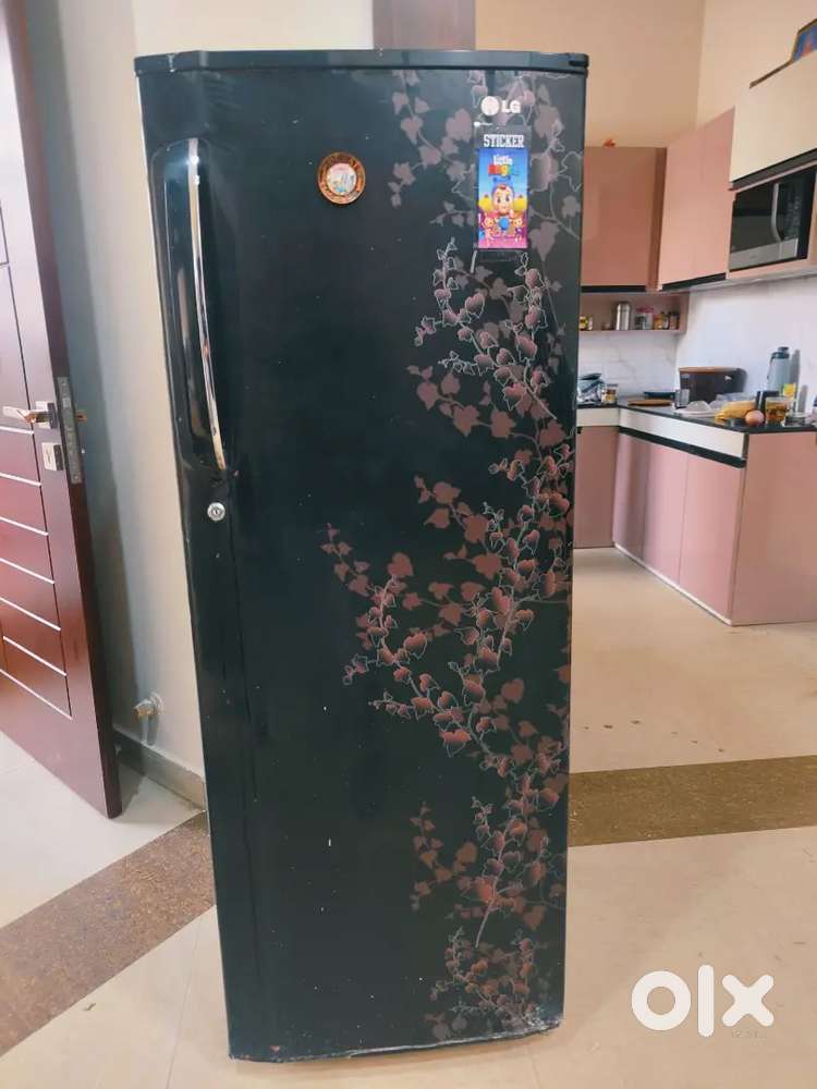 LG fridge single door black flower edition