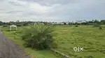 Plot sale in low budget.