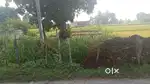 I want to sell my road side plot.