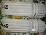 Cricket pads