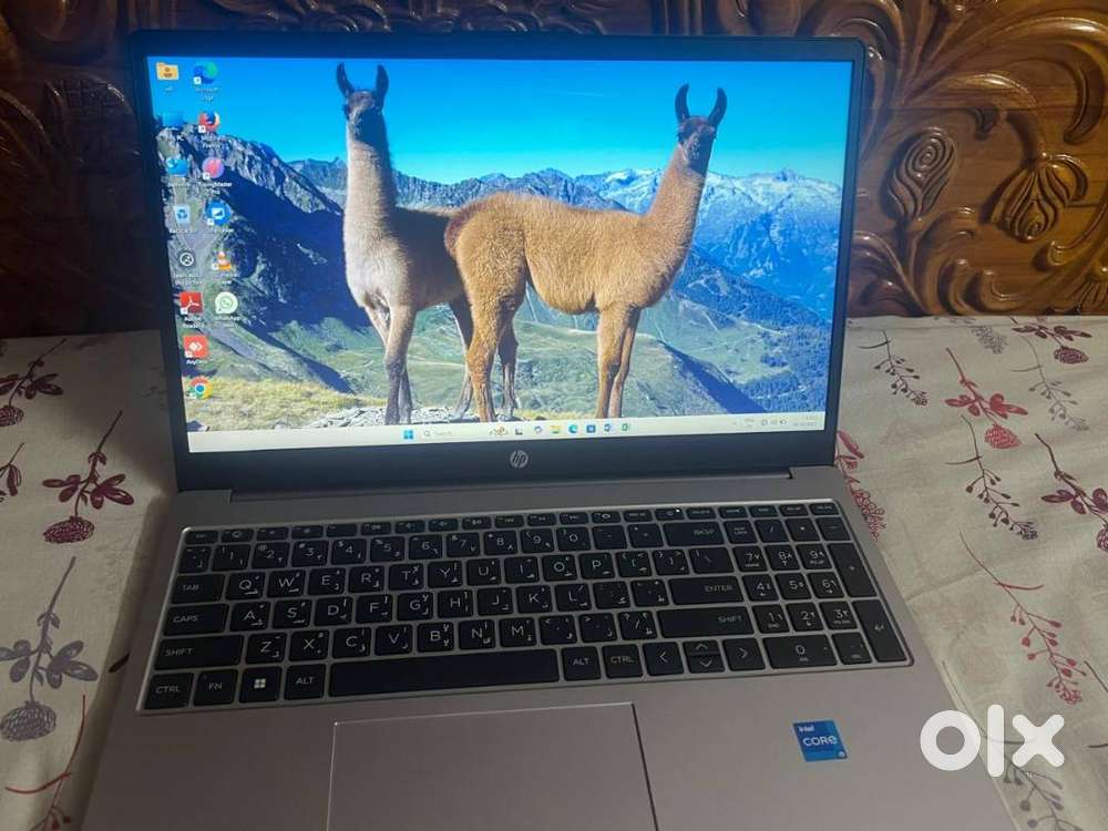 I want sell my brand new hp laptop