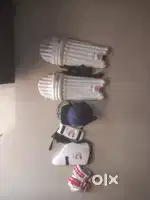 Cricket kit