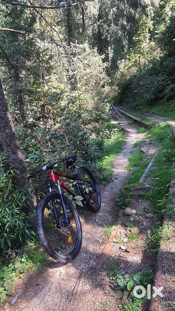 Trek Marlin 6 Gen 3 Mountain Bike  1 Year Old  Excellent Condition