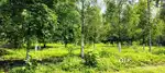 175 CENT LAND FOR SALE AT KARUKUTTY EDAKKUNNU