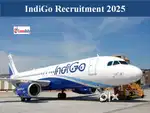 Jobs in indigo Airlines urgent hiring apply fast