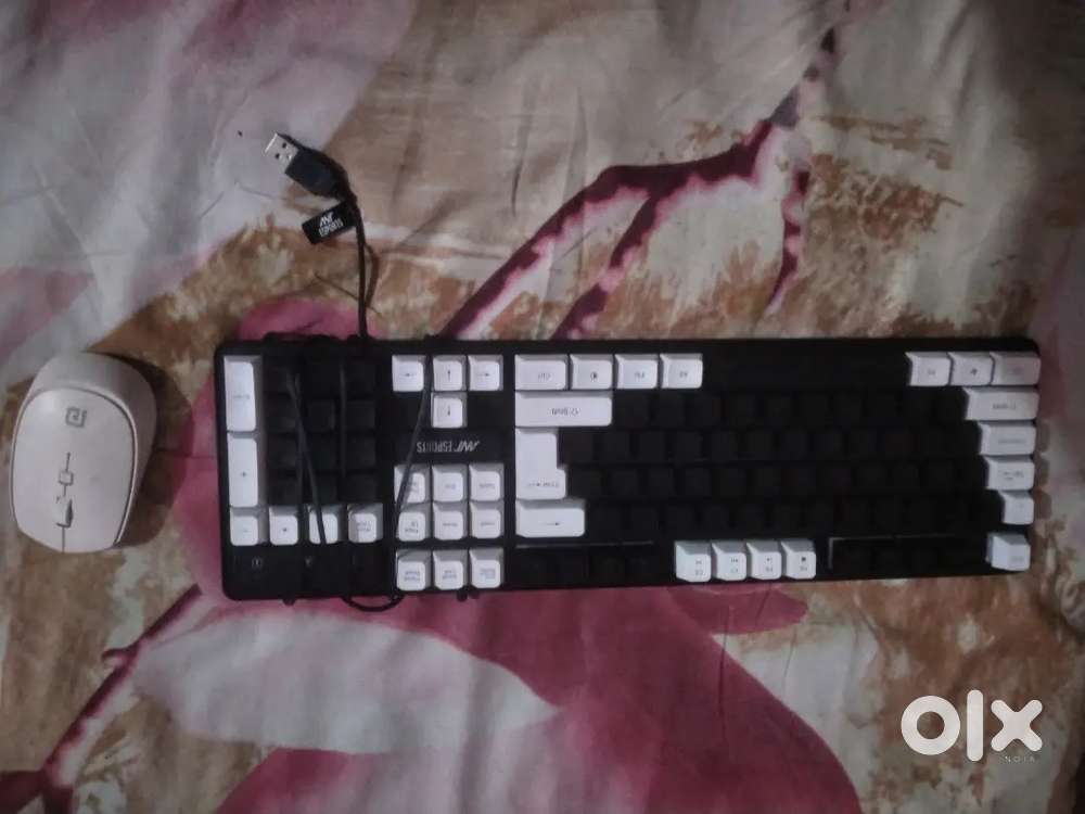 rbg keyboard and a wireless mouse