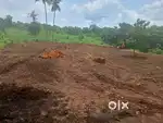 Selling30cent land