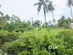 42 Cent Commercial plot Muttathara Jn Eenchakkal Thiruvananthapuram