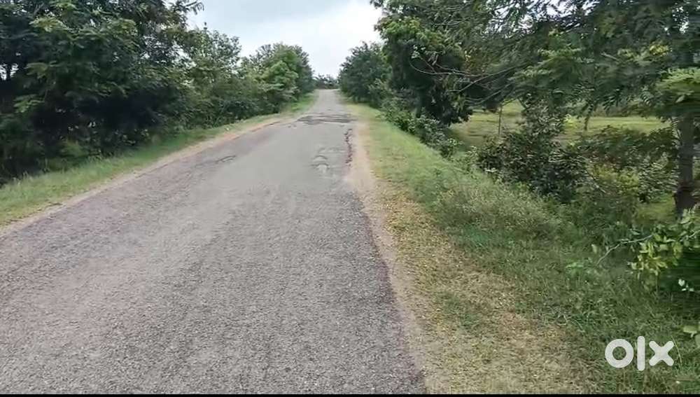 Farm land near Narayankhed