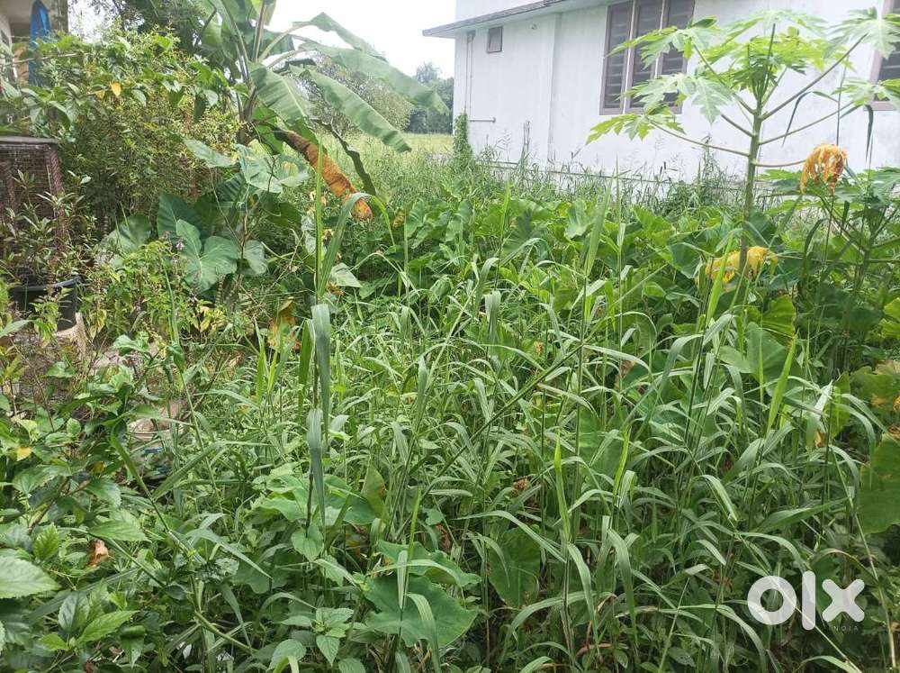 2 Cent Plot @ Manjummel, Madappat