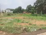 8 CENT HOUSE PLOT SALE IN CHOTTANIKKARA ERUVELI