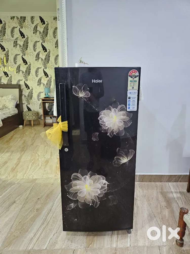 Haier 195L 4-Star Single Door Fridge– Excellent Condition, 4 Years Old