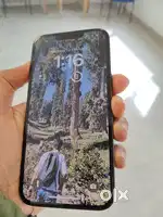 iPhone 13 green