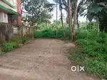 250 METRE FROM NH 66. 4 cent plot for sale koonammavu,