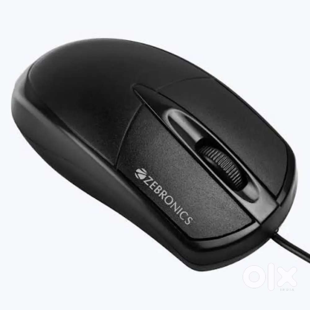 Computer's mouse