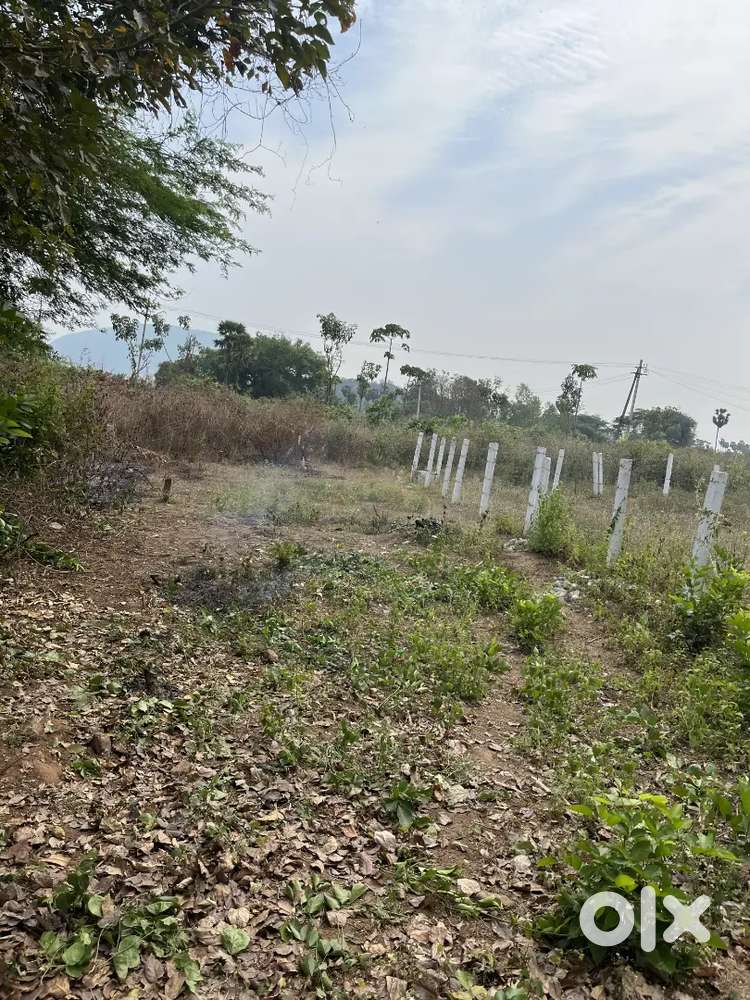 120 sqyards Vuda bit for sale near to vepagunta rampuram village