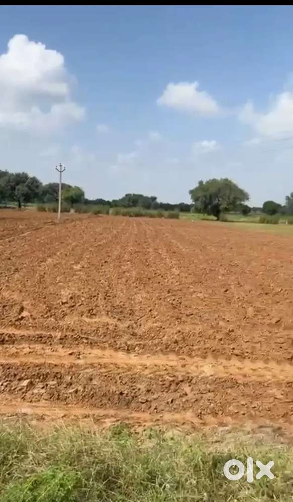 Jaipur sikar on highway, agriculture land