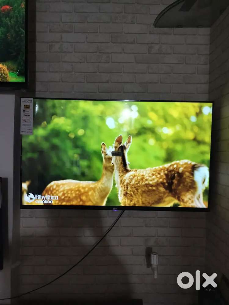 43 in 4k LG WEB OS MAGIC remote wholesale price