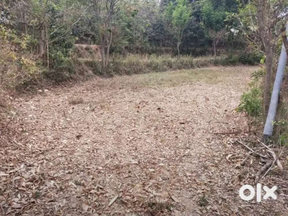 Sale Road Side Plot Land-6 kanal 8 marle