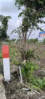 1000Sq Ft Open Bunglow Plots For Sale