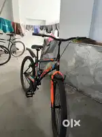 New  Cycle