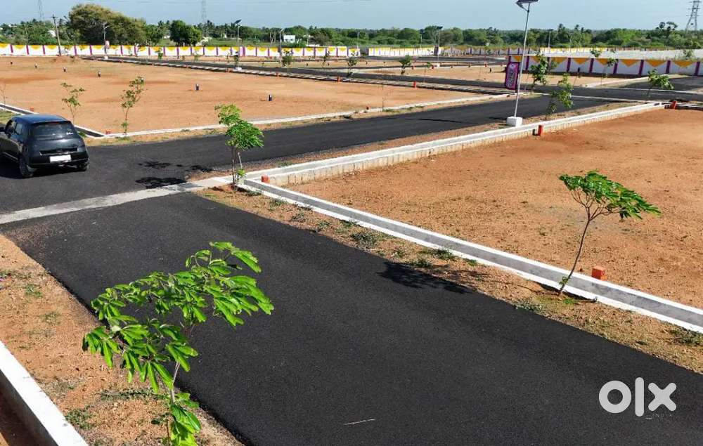 Trichy panjapur low budget plots