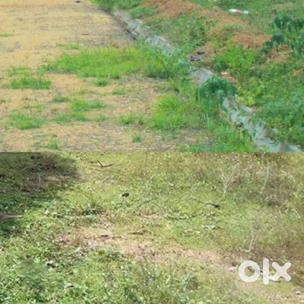 Plot for sale near ariyur mosque