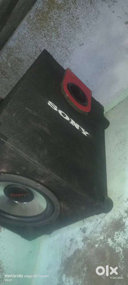 Dainty 8 inch subwoofer