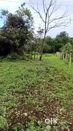 orchard farmhouse plot for sale at collem close to NH748
