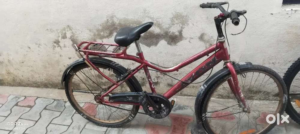 Avon cycle 2 years old