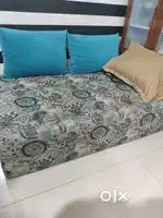 Sofa cum bed in good condition with 50 density